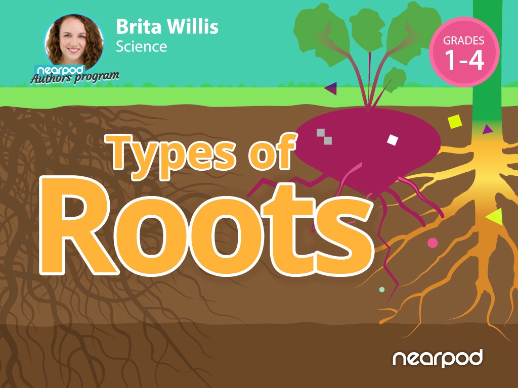 Types of Roots