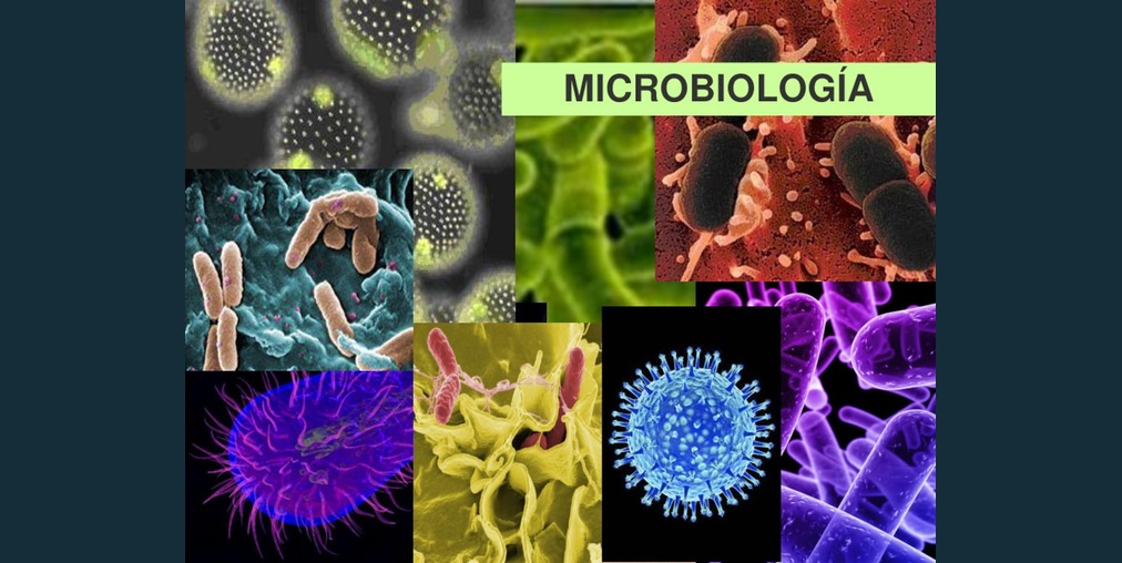 Microbiologia preunivesitaria
