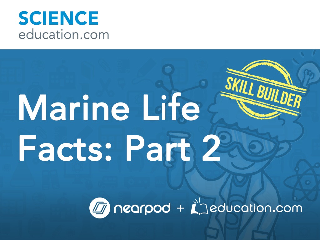 Marine Life Facts: Part 2