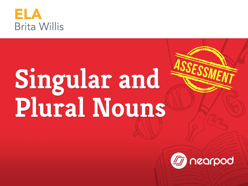 assessment singular and plural nouns