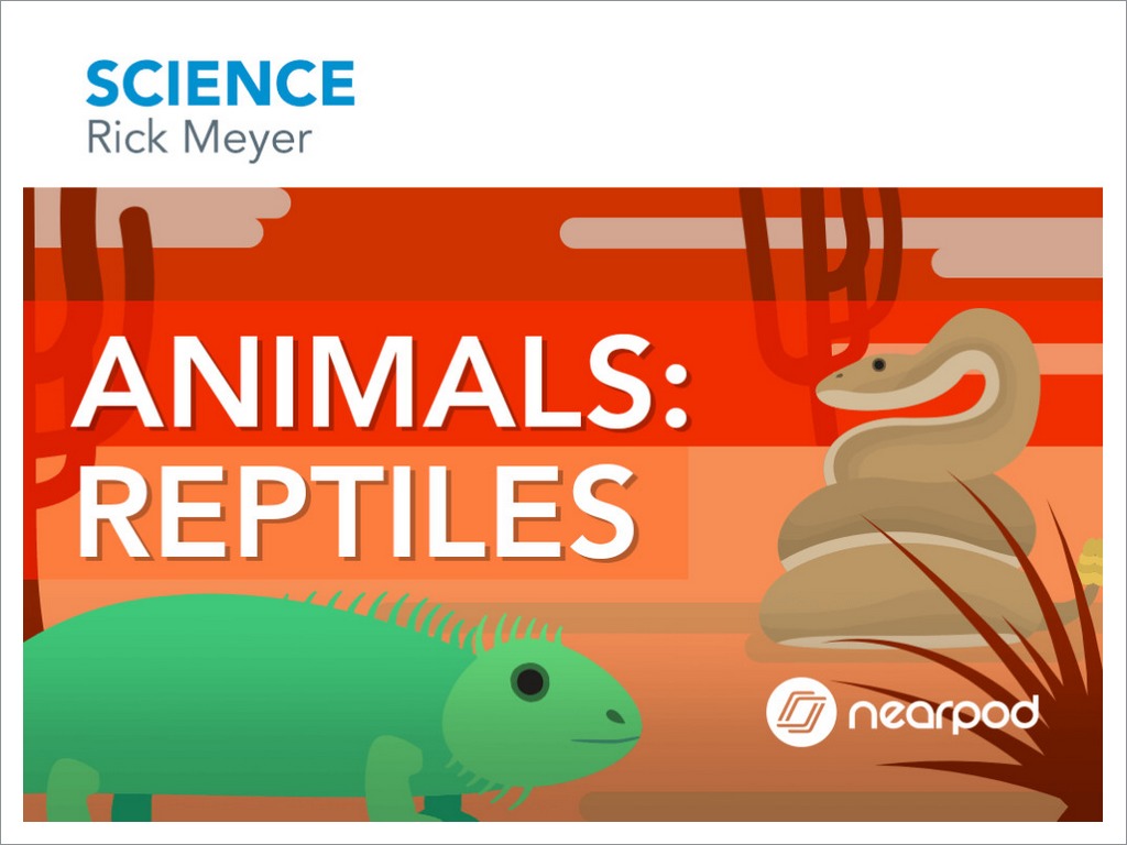 Animals Reptiles