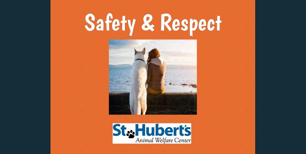 Safety & Respect
